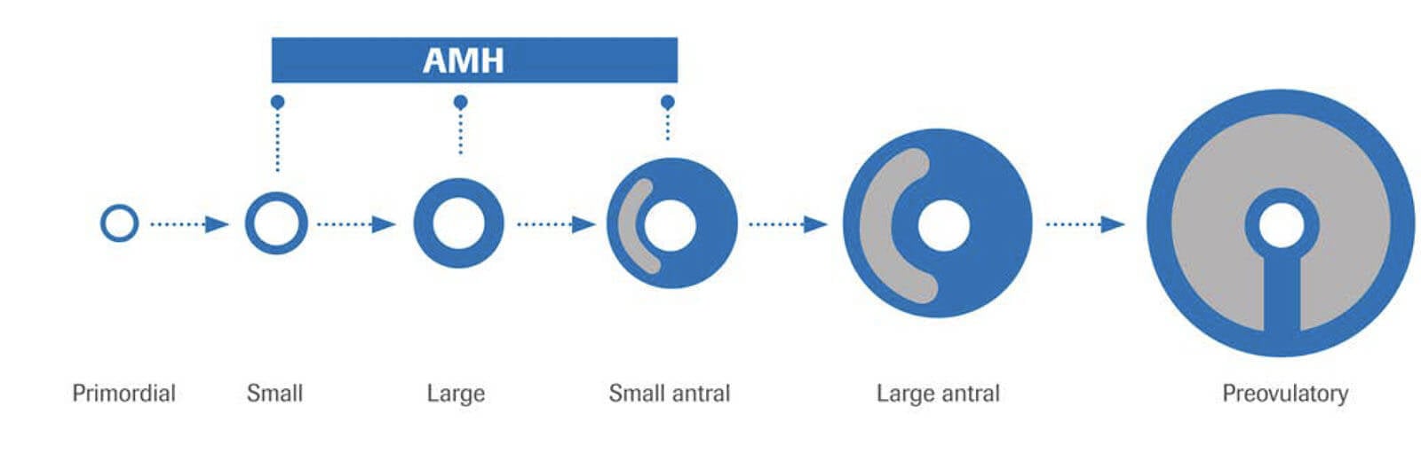 The Power of Knowing When to Conceive - Vol 2 The Power of Knowing 2 - Inside the Lab