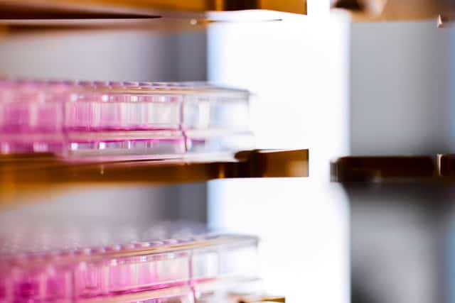 Next-gen sequencing gives cancer patients the answers they need